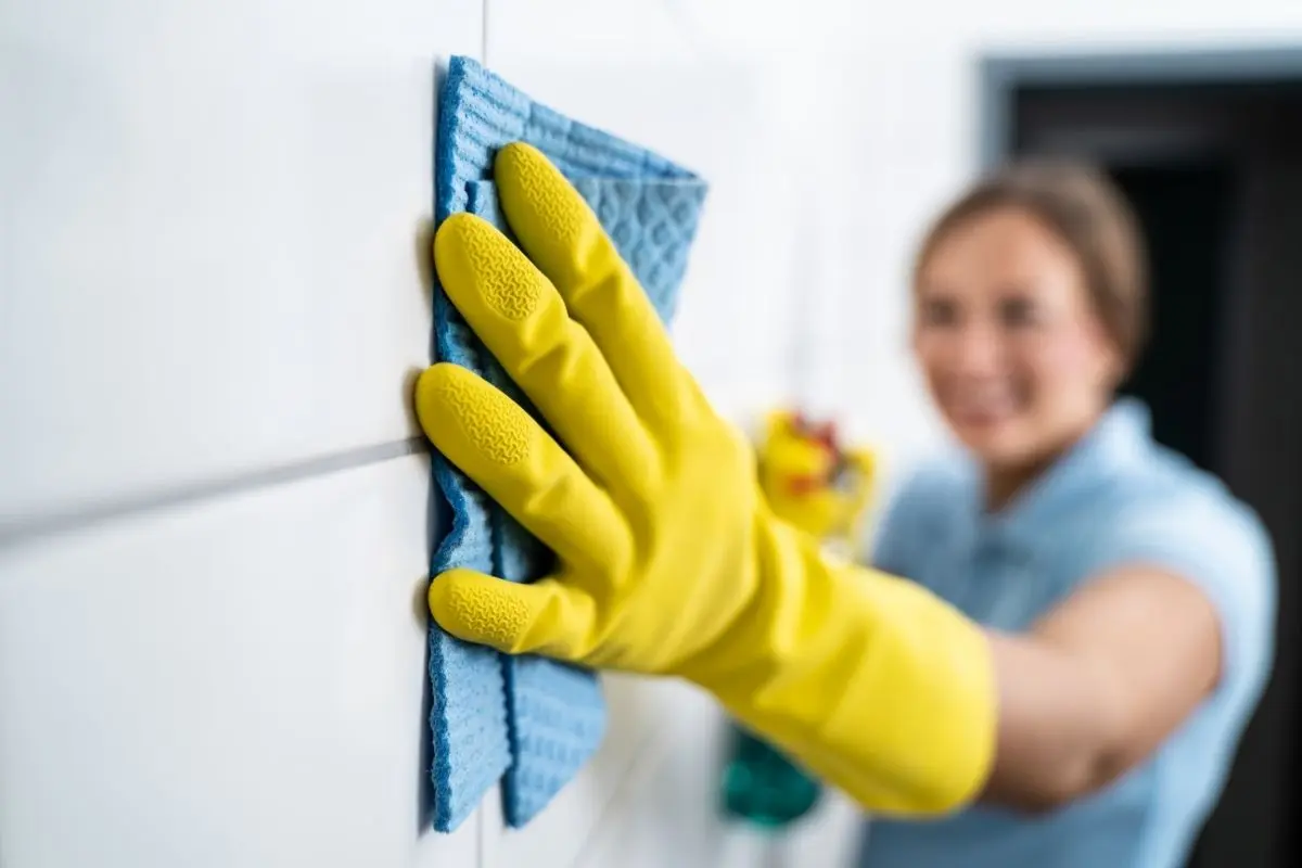 End of tenancy cleaning Camden